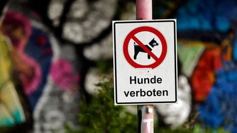 Wau Wau oder No No?